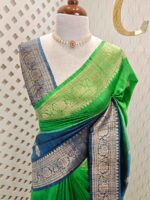 Tussar Banarasi double shade with spiar shape buttas - Image 7