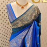 Tussar banarasi with double shade and floral,leafy jaal design on border