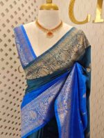 Tussar banarasi with double shade and floral,leafy jaal design on border
