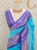 Tussar banarasi with floral, leafy jaal design and contrast border