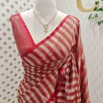 Tissue saree with stripes on the body and with suttle pallu