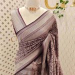Banarasi saree with round and box like pattern all over the body and with suttle double border