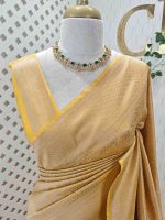Banarasi saree with all-over floral motifs along with simple line inside the motifs - Image 14