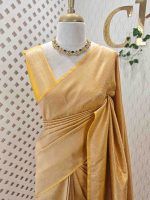 Banarasi saree with all-over floral motifs along with simple line inside the motifs - Image 15