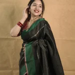 Kanjeevaram with small dotted lines one the body and with large contrast multiple boarder