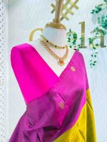 Kanjeevaram with simple dotted check body and contrast large width paisley boarder - Image 2