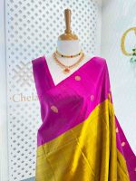 Kanjeevaram with simple dotted check body and contrast large width paisley boarder