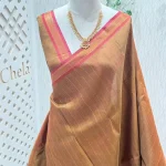 Kanjeevaram with thick vertical and dotted lines on the body and simple small side boarder