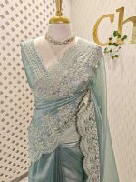 Tissue organza with plant pearl like embroidery work