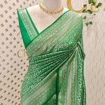 Banarasi with traditional multi-line border and floral jaal patterns.