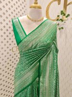 Banarasi with traditional multi-line border and floral jaal patterns.