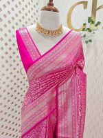 Banarasi with traditional multi-line border and floral jaal patterns. - Image 7