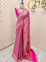 Banarasi with traditional multi-line border and floral jaal patterns. - Image 9