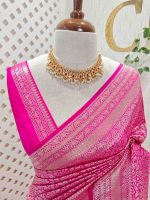 Banarasi with traditional multi-line border and floral jaal patterns. - Image 8