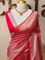 Banarasi with traditional multi-line border and floral jaal patterns. - Image 13