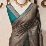 Georgette Banarasi with floral jaal pattern all over the body and traditional zari woven border