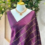 Kanjeevaram saree with bold zari checks all over the body