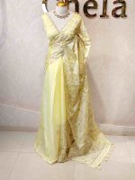 Organza with heavy mughal -inspired embroidery all over the body - Image 3