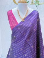 Kanjeevaram with check pattern and contrast blouse - Image 2