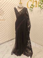 Organza saree with an allover paisley-inspired thread work pattern highlighted by intricate floral detailing - Image 14