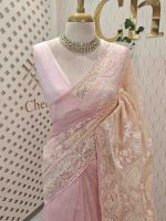 Organza saree with an allover paisley-inspired thread work pattern highlighted by intricate floral detailing - Image 6