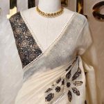 Tissue Saree with floral applique embroidery on the body complimented by a lace-detailing  border