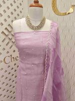 Kota silk salwar with beading and digital print dupatta - Image 6