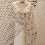 Organza with multicolour startbrust like embroidery all over the body