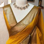 Tissue Banarasi with traditional zari woven border and checkered body