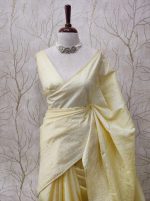 Tussar Silk with mango embroidery on the border - Image 8