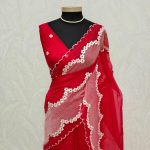 Organza with floral lace embroidery and border detailing