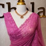 Net saree with embroidered diamond shaped stripes , floral patterns on boarder with scallop design